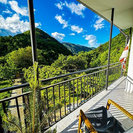 Family Hotel Mountain Panorama ボルジョミ エクステリア 写真