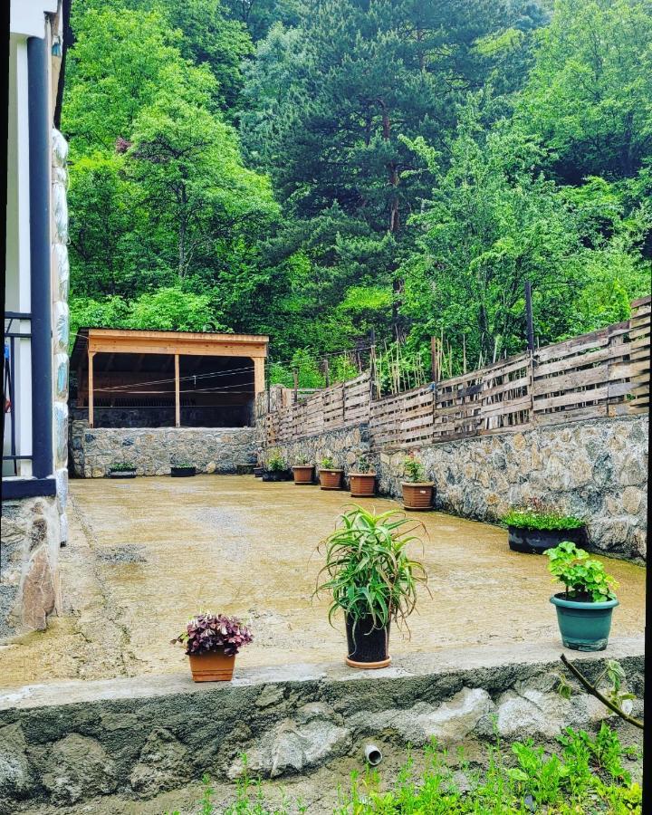Family Hotel Mountain Panorama ボルジョミ エクステリア 写真