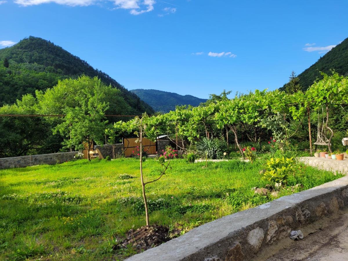 Family Hotel Mountain Panorama ボルジョミ エクステリア 写真