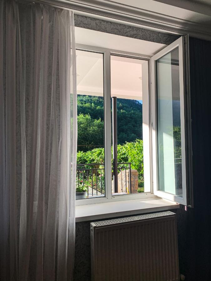 Family Hotel Mountain Panorama ボルジョミ エクステリア 写真