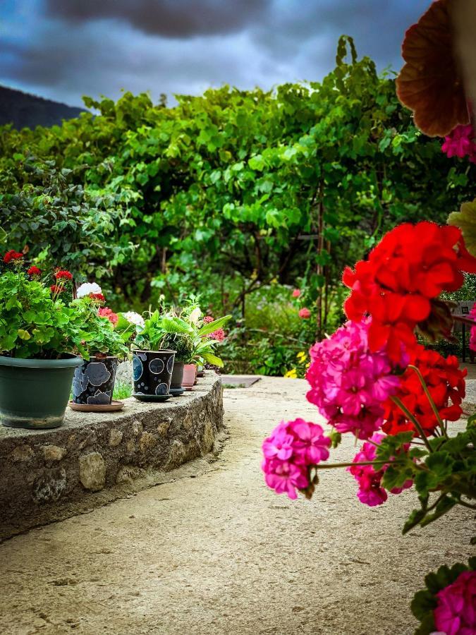 Family Hotel Mountain Panorama ボルジョミ エクステリア 写真