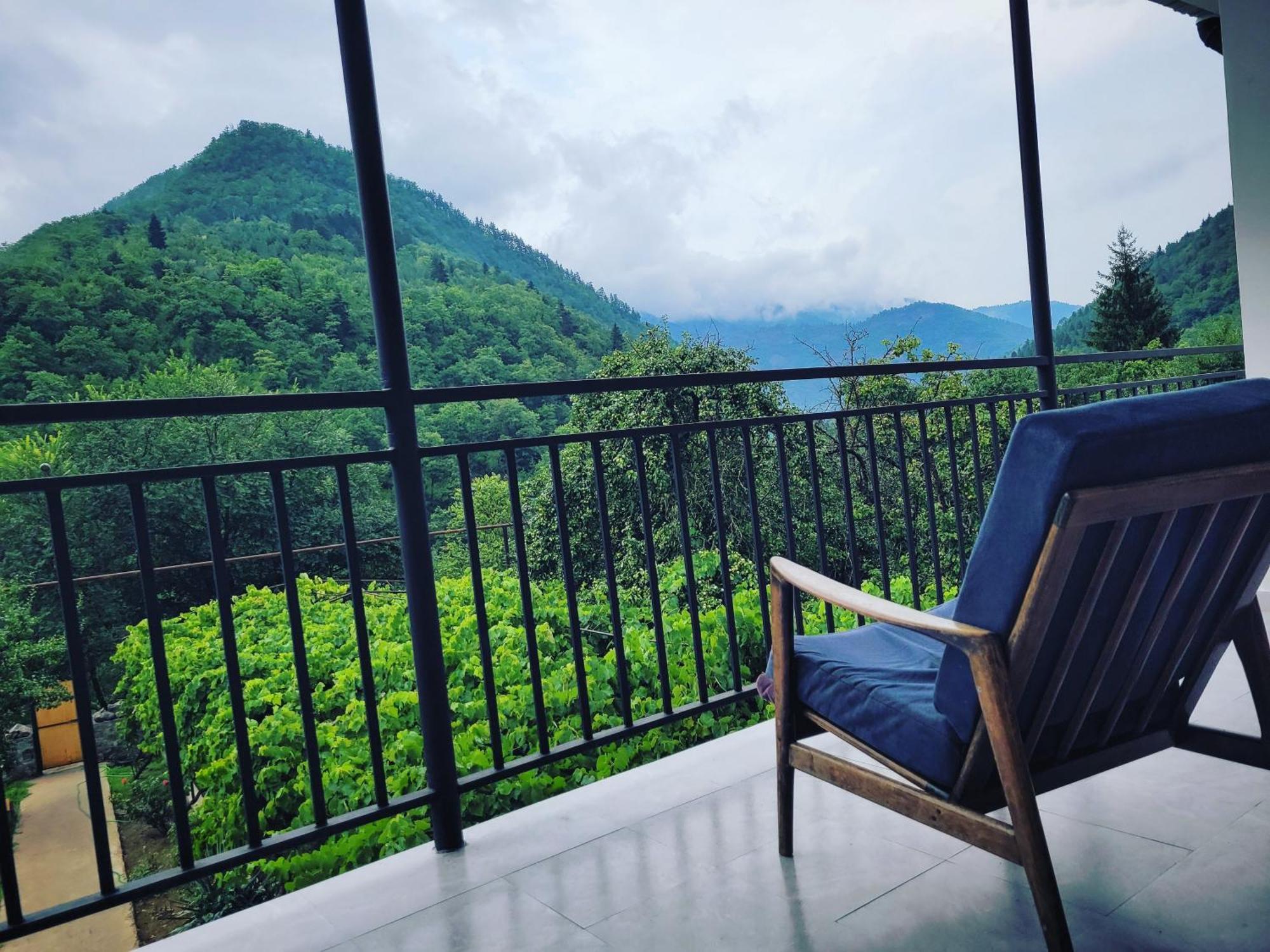 Family Hotel Mountain Panorama ボルジョミ エクステリア 写真