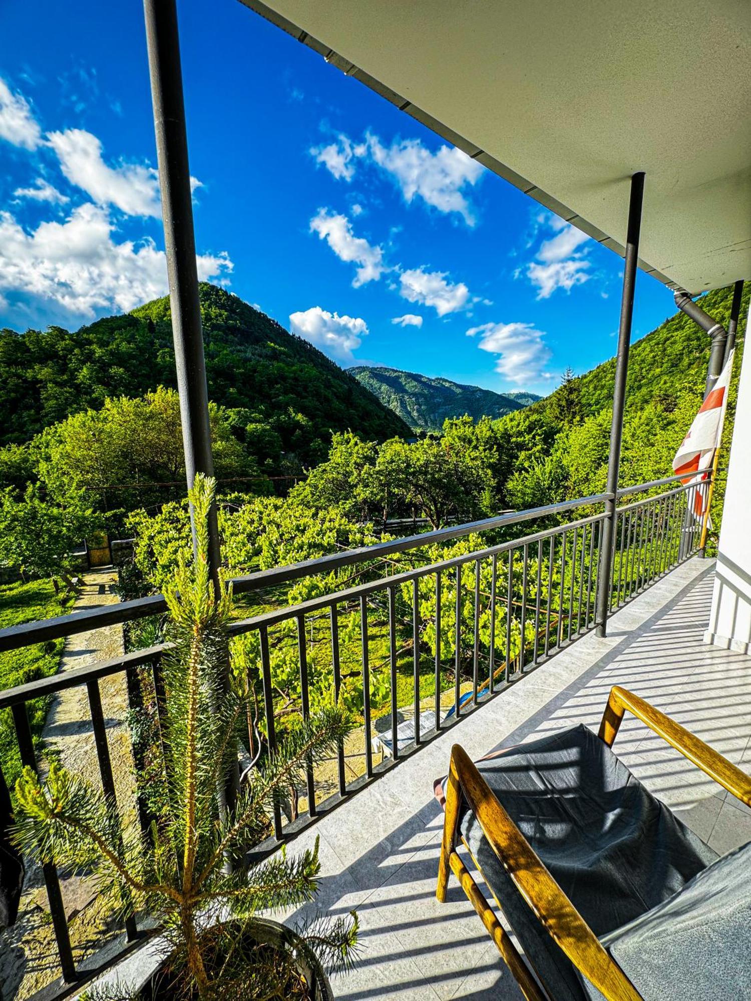 Family Hotel Mountain Panorama ボルジョミ エクステリア 写真