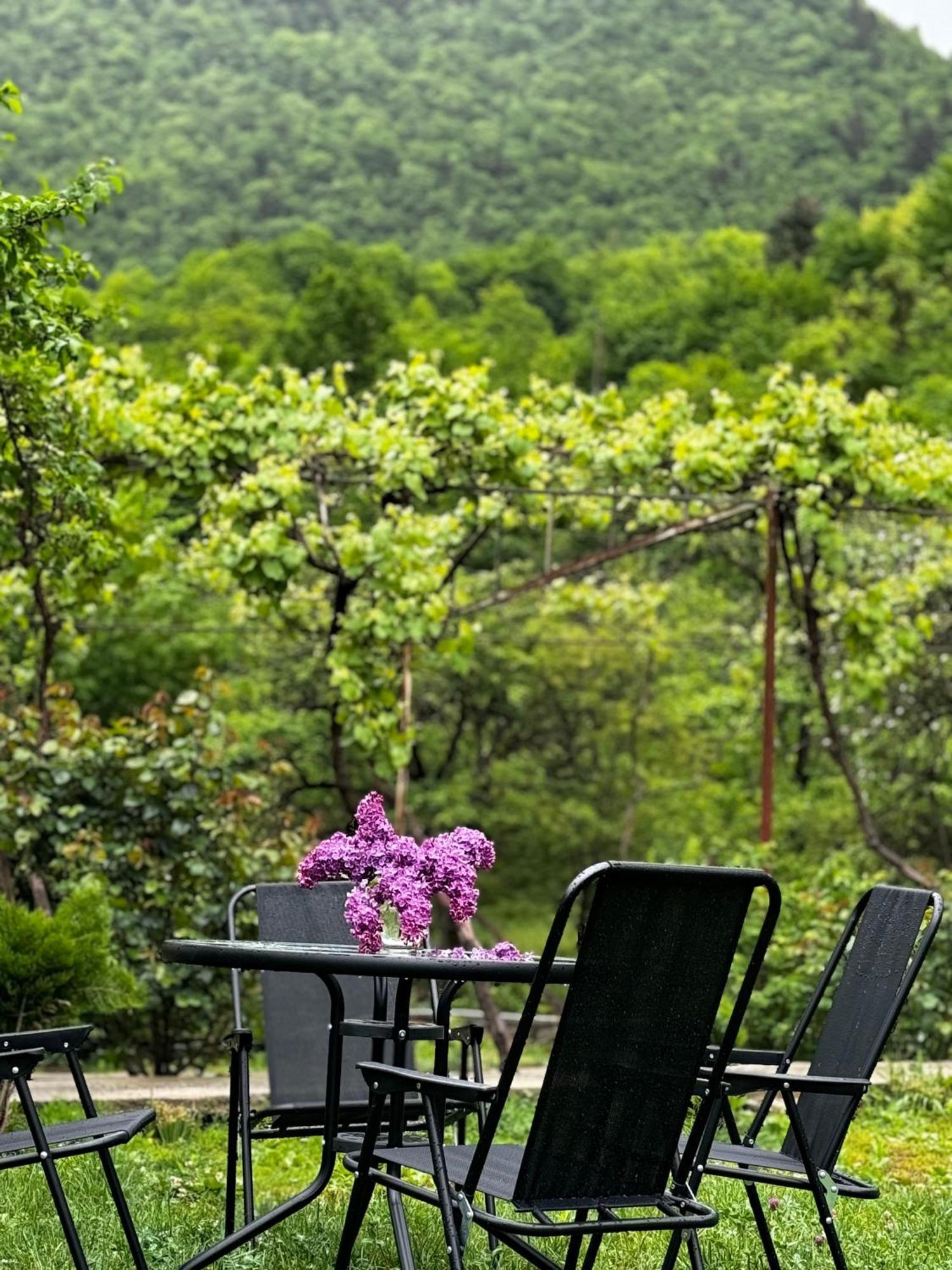 Family Hotel Mountain Panorama ボルジョミ エクステリア 写真