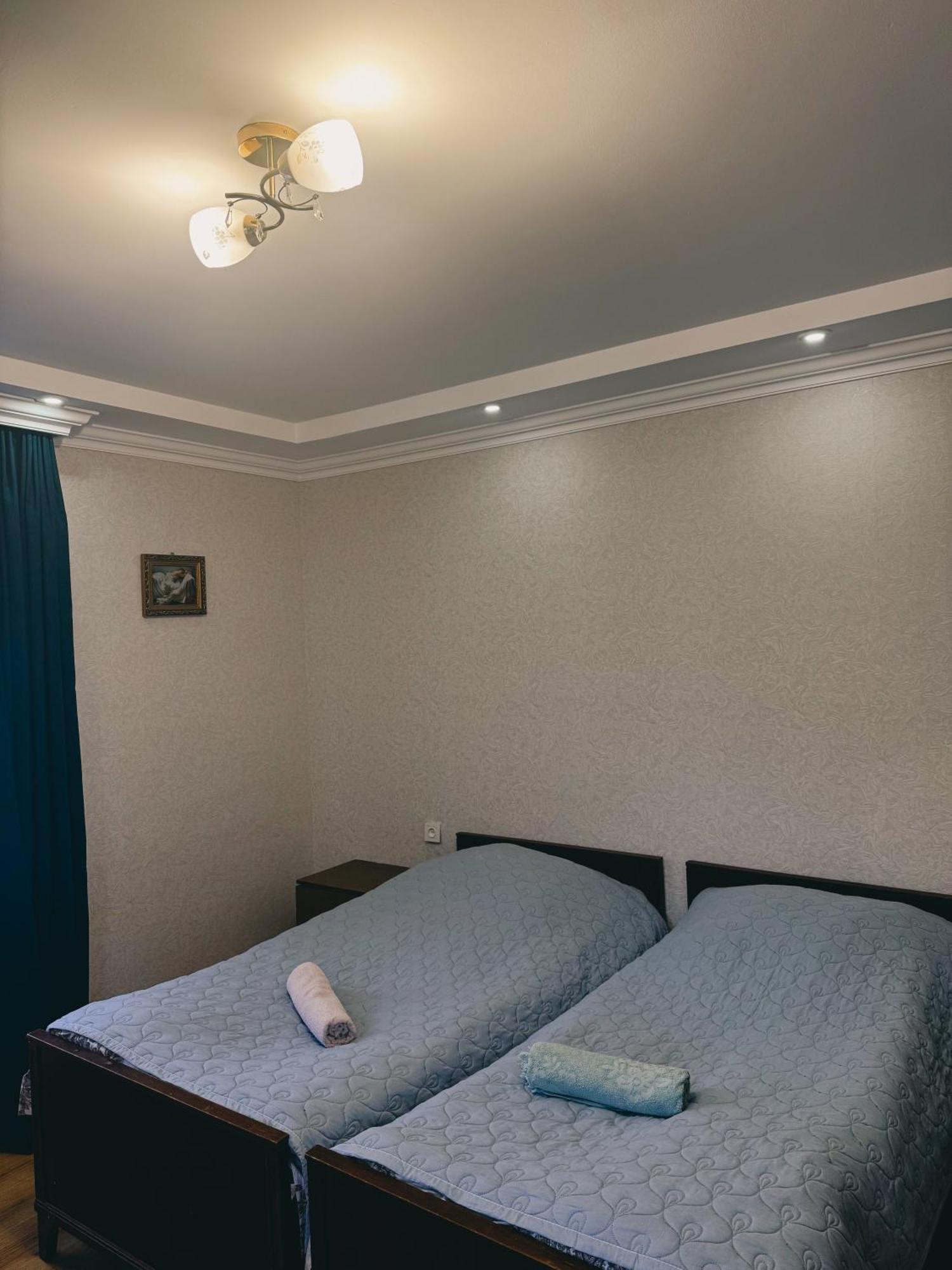 Family Hotel Mountain Panorama ボルジョミ エクステリア 写真
